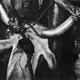 soldier killing animal